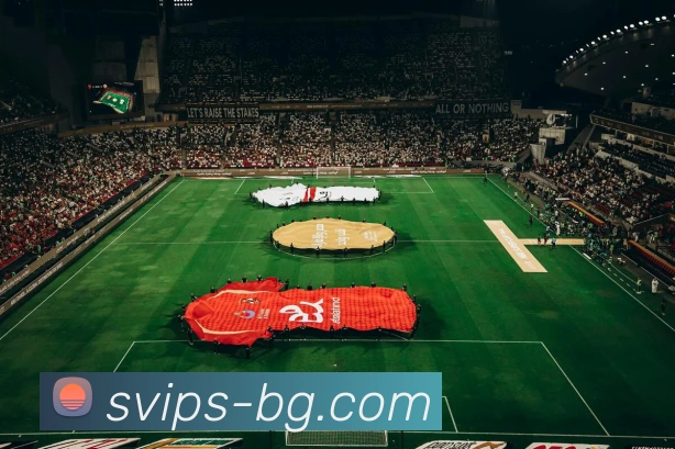 BG大游官网品牌故事