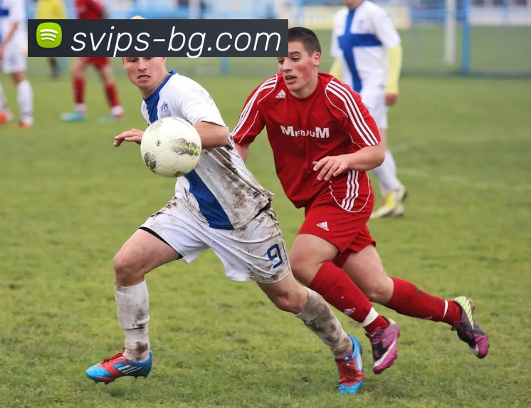 BG大游官网服务体系